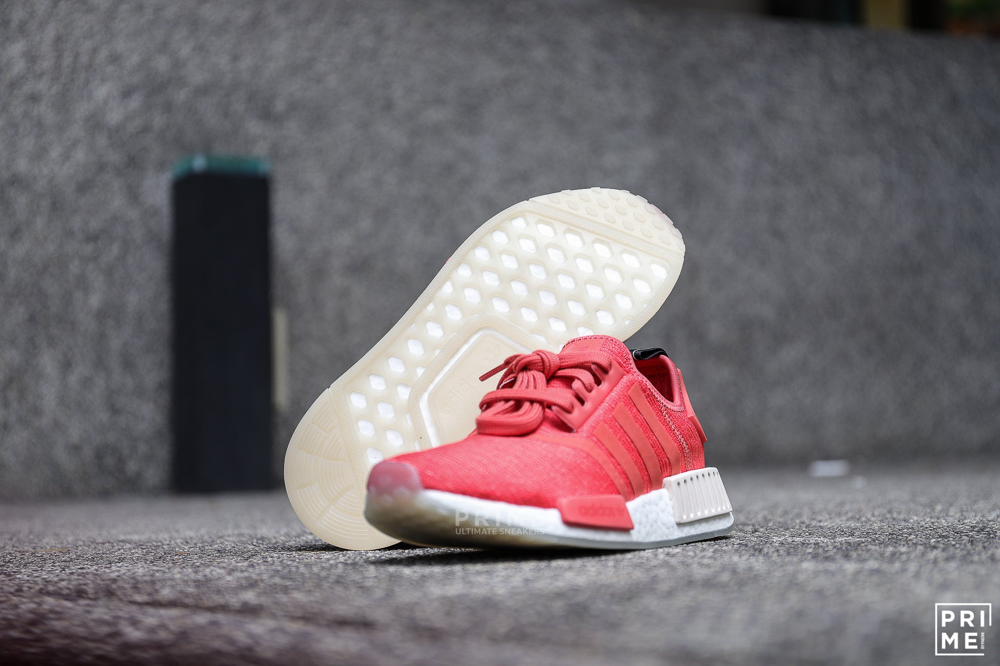 Adidas NMD R1  Trace Scalet   (CQ2014)