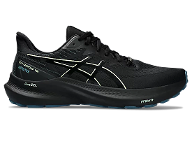 Men's GT-2000 12 GTX